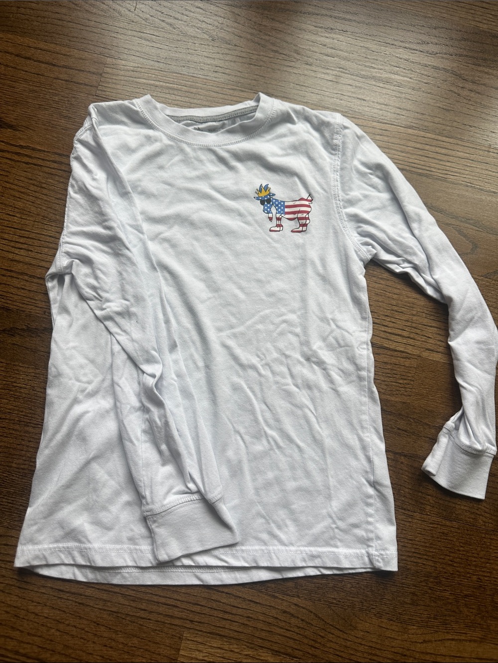 Kids White Long-Sleeve Tee with Patriotic Dog Graphic